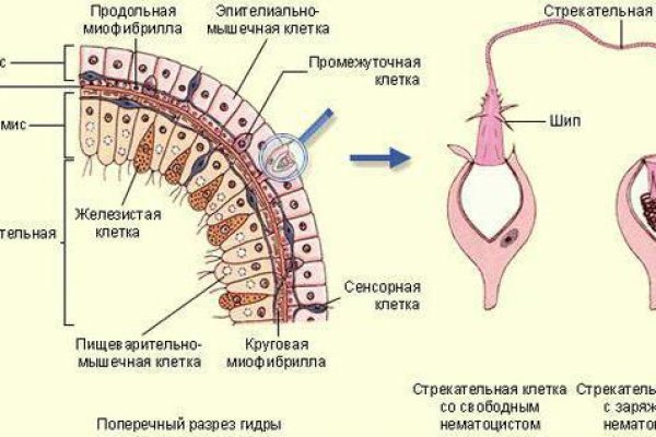 Kraken маркетплейс как зайти