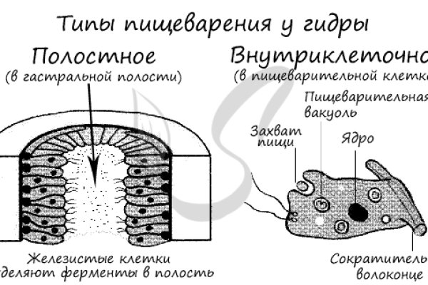 Как выводить деньги с кракена