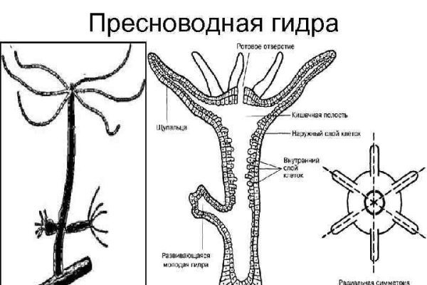 Кракен ссылка онион зеркало