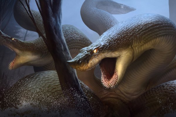 Kraken market ссылка тор